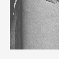 Previously Unreleased (Record Seven Of Nine)