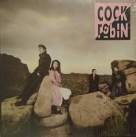 Cock Robin