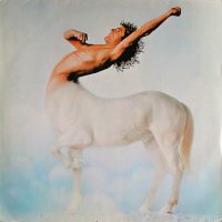 Ride A Rock Horse