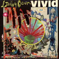 Vivid