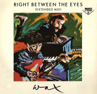 Right Between The Eyes (Extended Mix)